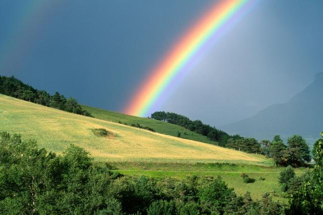 Transmission and Refraction of Light 