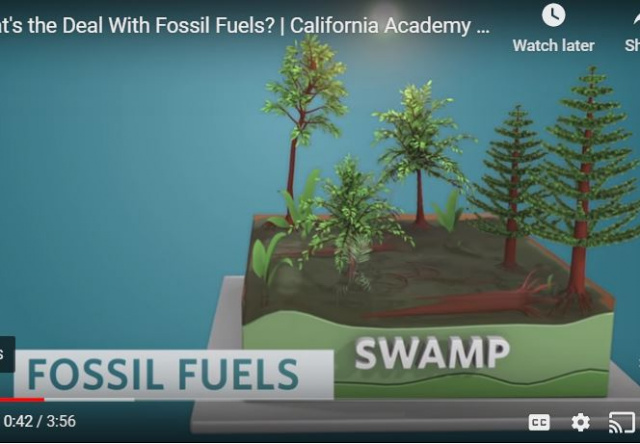 Video: What's the Deal with Fossil Fuels?